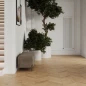 Коллекция Вуд Латина Миле Шеврон