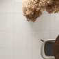 Коллекция Энерджи