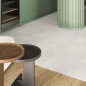 Коллекция Шелли