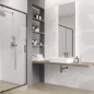 Коллекция Caravan