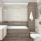 Коллекция Zen