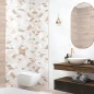 Коллекция Artdeco 250*500