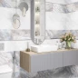 Коллекция Palmira 249*500