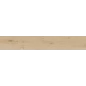 Клаб керамогранит бежевый SG517120R 19,6х119,1 матовый