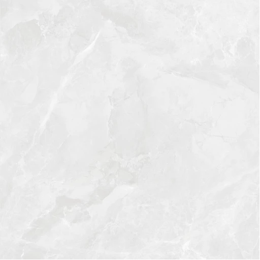 Регнум Бианко Керамогранит светло-серый CR6060G0391R 59,5х59,5 матовый
