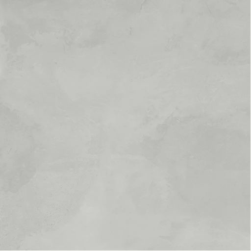 Эволюшн Смоук Керамогранит светло-серый SG603720R 59,5х59,5 матовый карвинг