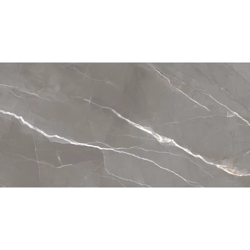 60120ESE25P Эссеншл темно-серый / Essential Graphite Керамогранит полированный 600*1200