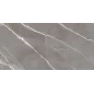 60120ESE25P Эссеншл темно-серый / Essential Graphite Керамогранит полированный 600*1200