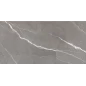 60120ESE25P Эссеншл темно-серый / Essential Graphite Керамогранит полированный 600*1200