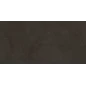 Evolution marron Плитка настенная 48036R 40x80 матовый обрезной