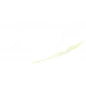 Golden White Statuario Керамогранит 60х120 Полированный
