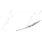 Golden White Statuario Керамогранит 60х120 Полированный