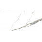 Golden White Statuario Керамогранит 60х120 Полированный