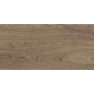 Anais Плитка настенная коричневый 34094 25х50