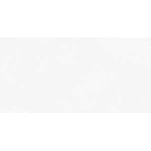 Antre White WT9ANR00 Плитка настенная 249*500*8.5